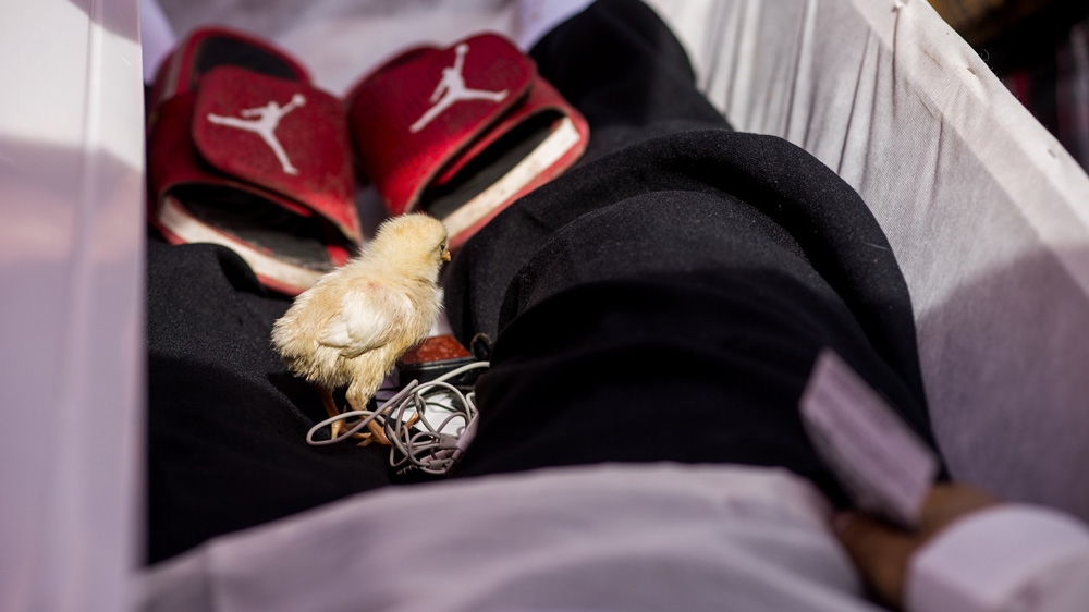 The chick for justice with personal belongings of slain rickshaw driver Eric Sison is placed in his coffin before being lowered to the ground, August 31, in Pasay City [Martin San Diego/Al Jazeera]