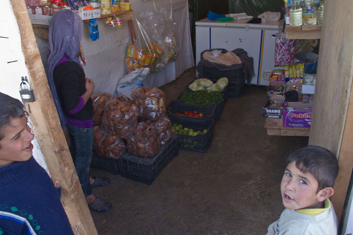 The Permanently Temporary Life/ Please Do Not Use