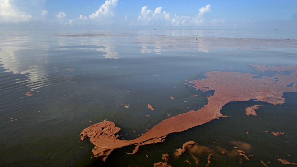 Oil from the BP Deepwater Horizon spill floats on the water off the coast of Louisiana [Charlie Riedel/AP Photo] 