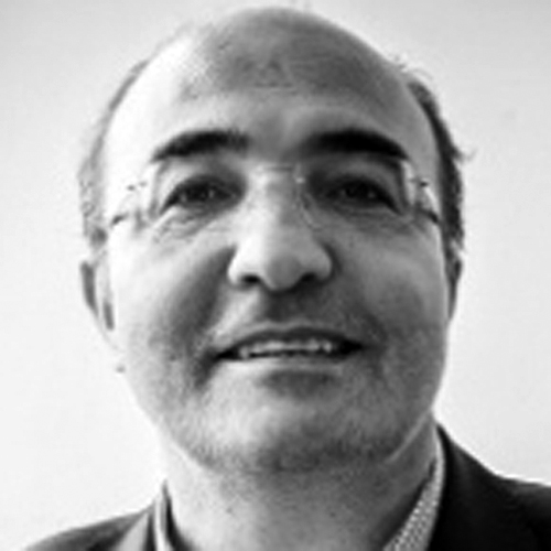 M Hakan Yavuz