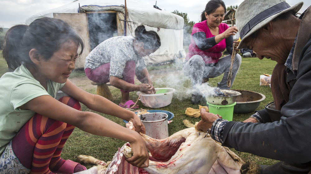 A herding family slaughters a goat in Ikh Tamir [Taylor Weidman/Al Jazeera]