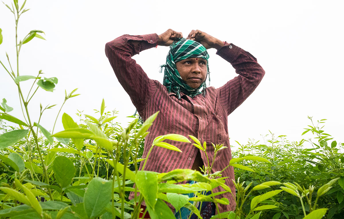 Indian Farmer widows / Please Do Not Use