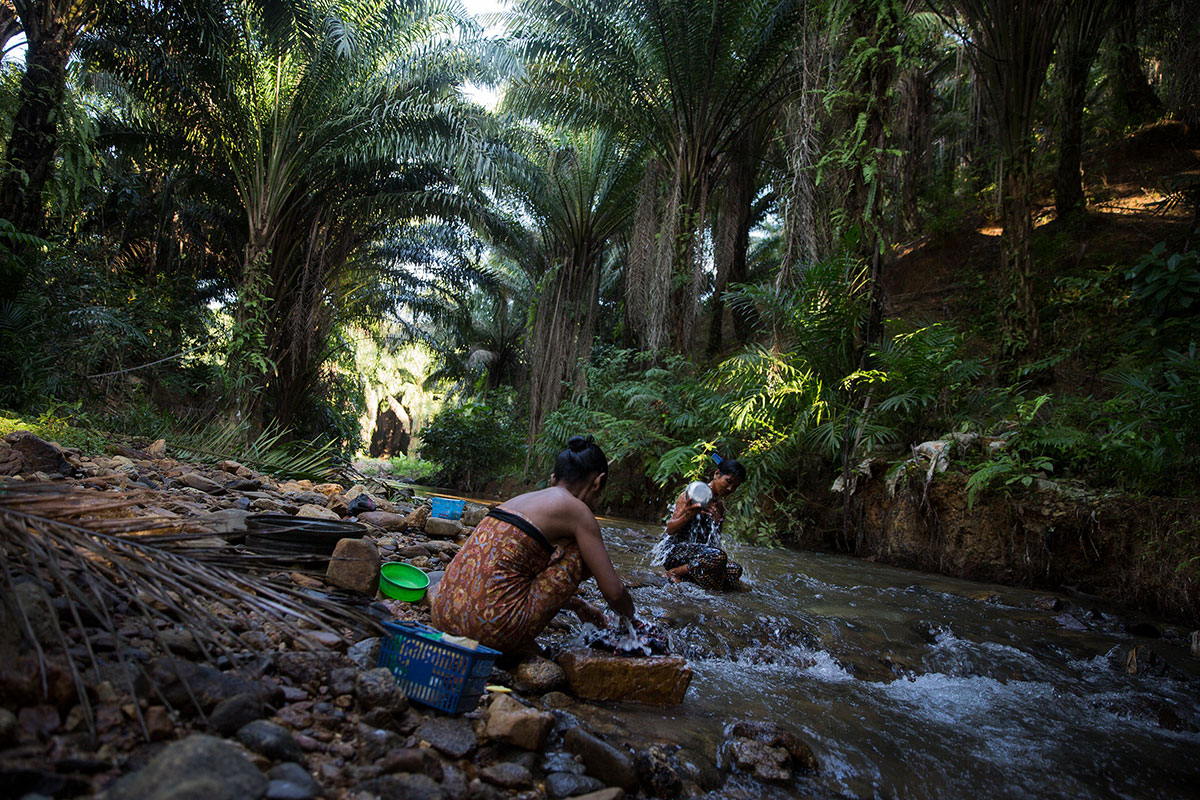 Palm Oil in Myanmar/Please Do Not Use