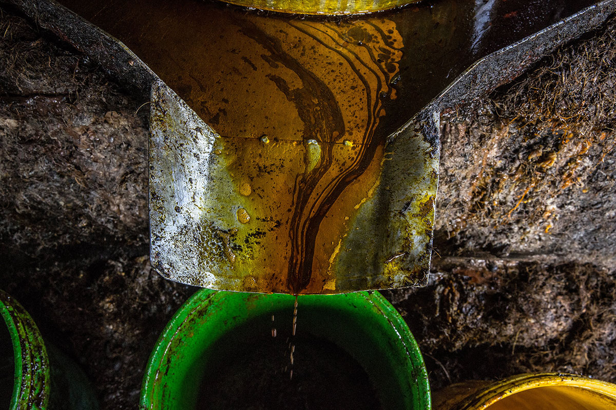 Palm Oil in Myanmar/Please Do Not Use