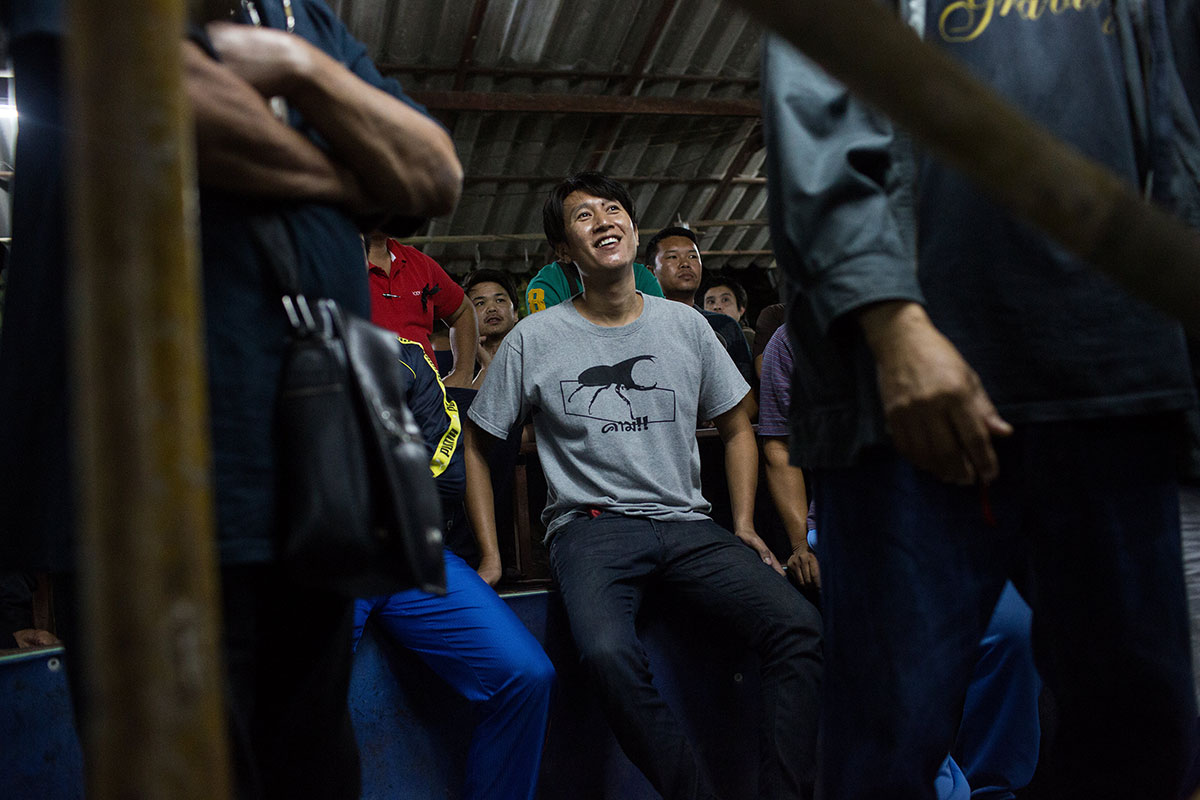 Beetle Fighting/Please Do Not Use