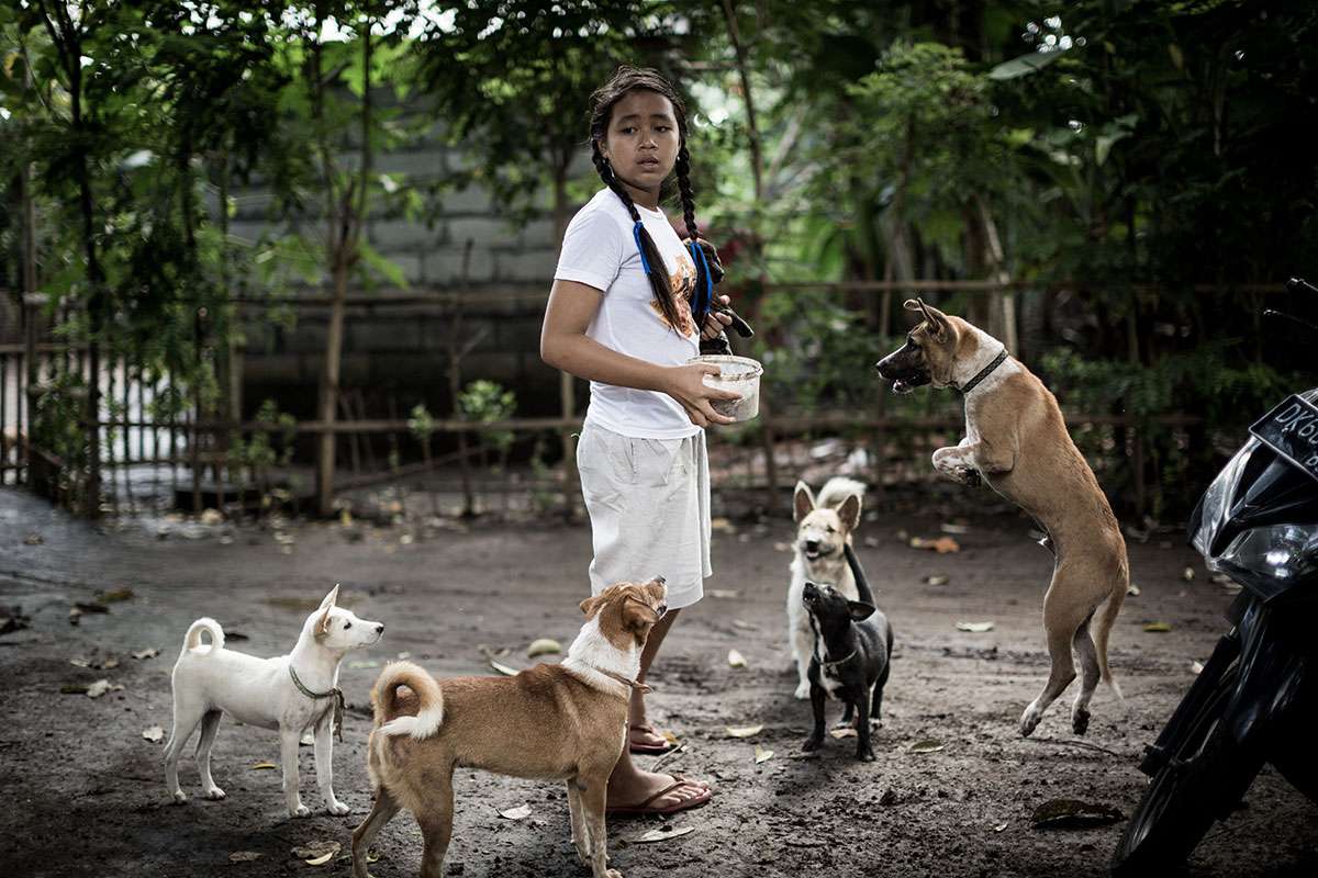 A Solo Balinese Girl Stray Dogs Rescuer/ Please Do Not Use