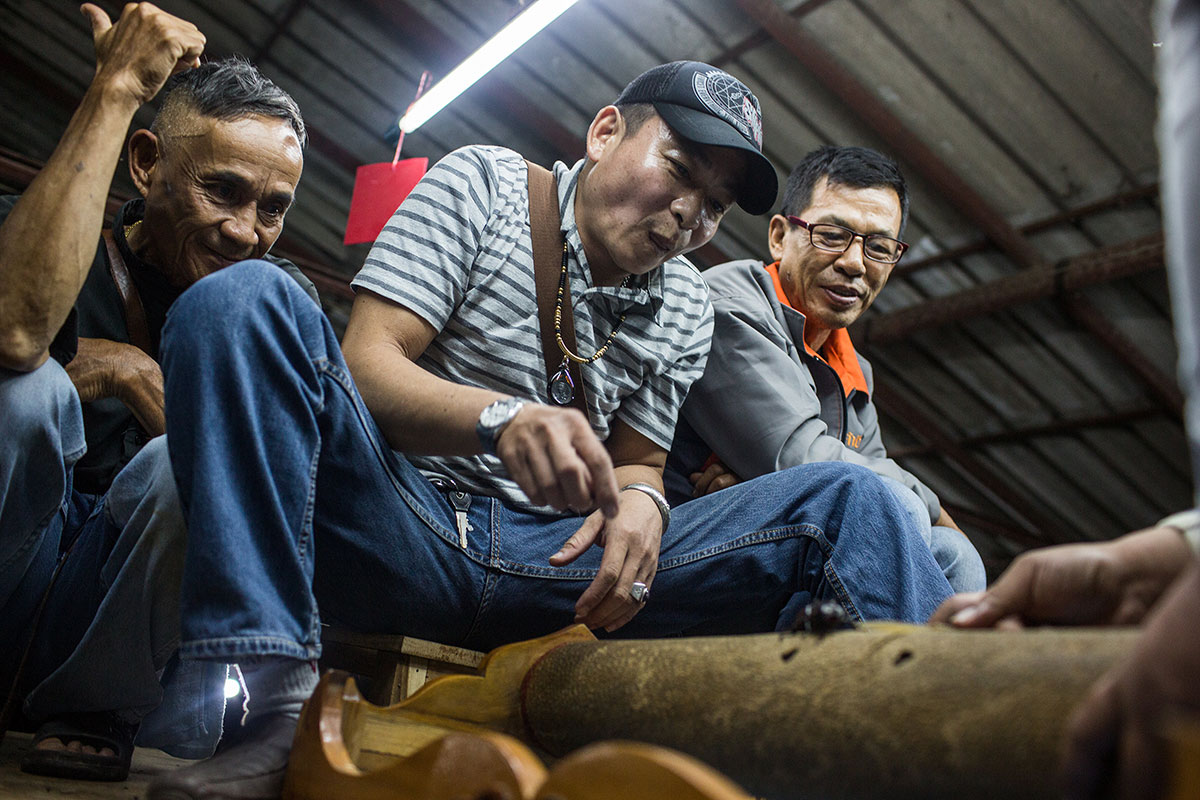 Beetle Fighting/Please Do Not Use