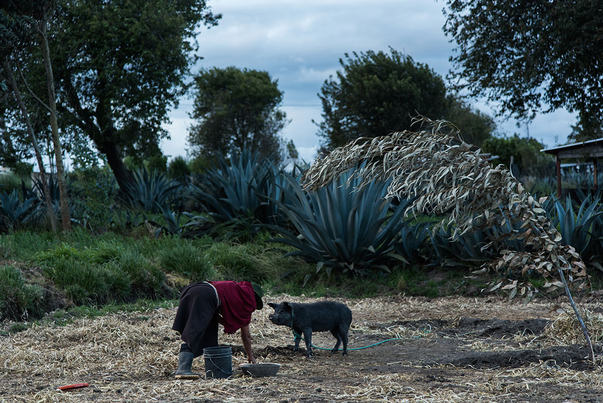 On Women’s Shoulders/ Please Do Not Use