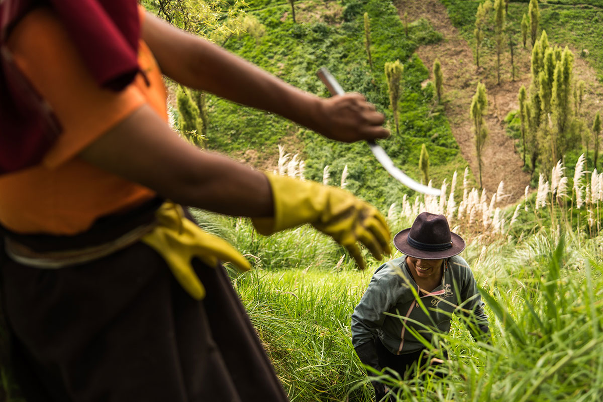 On Women’s Shoulders/ Please Do Not Use