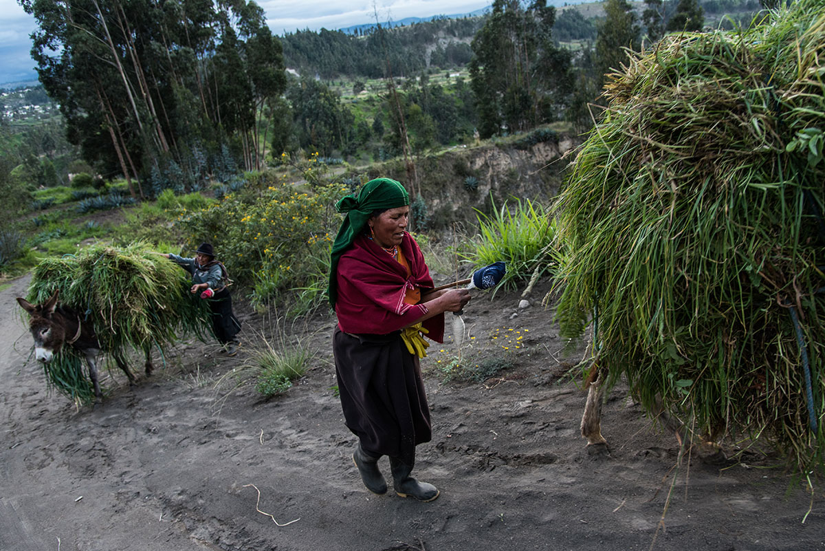 On Women’s Shoulders/ Please Do Not Use