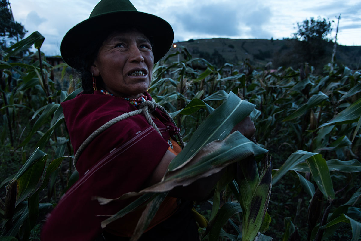 On Women’s Shoulders/ Please Do Not Use