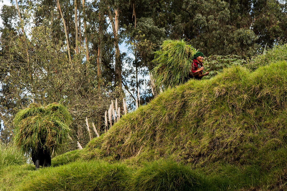 On Women’s Shoulders/ Please Do Not Use