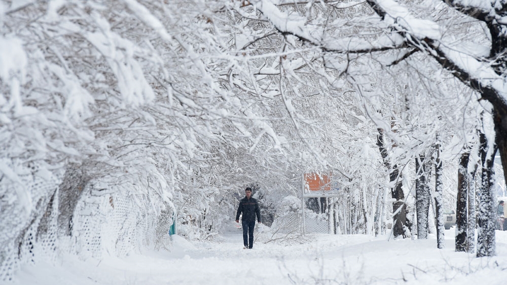 Avalanches and freezing weather have killed more than 20 people in different areas of Afghanistan, as rescuers worked to save scores still trapped under the snow [AFP]