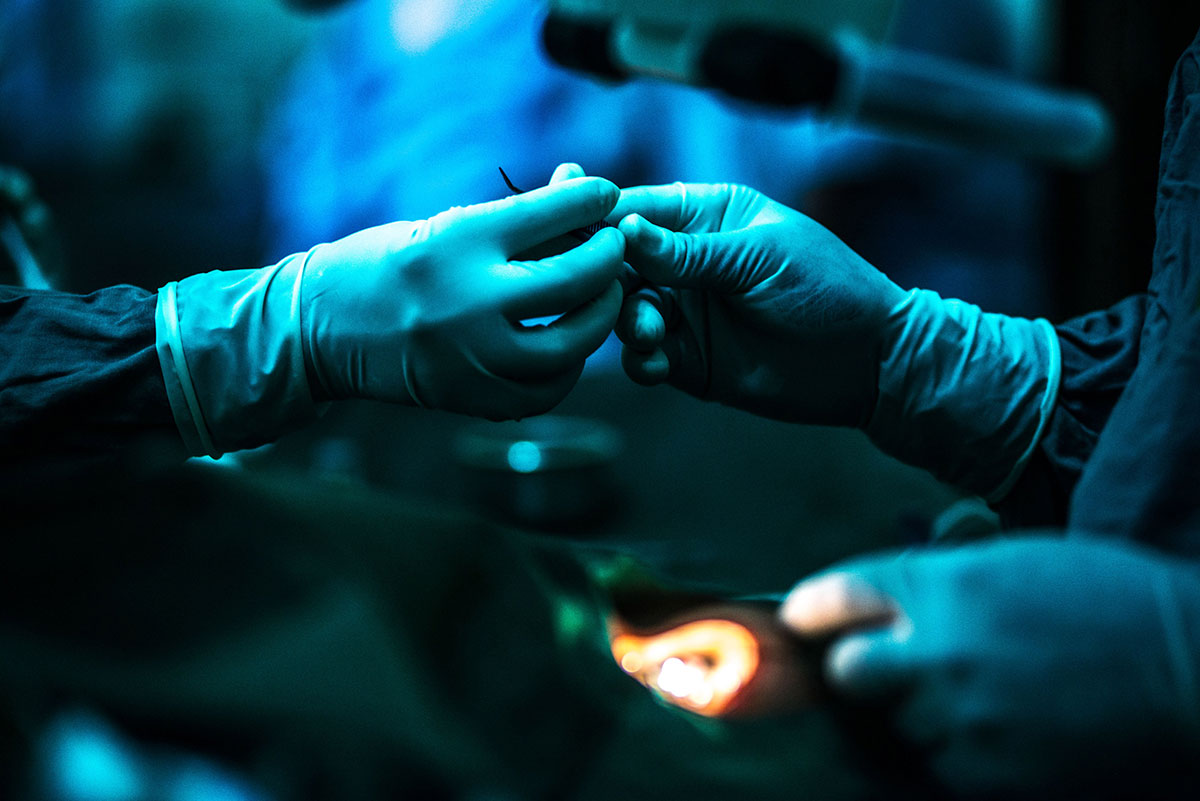 The fight for sight - Bakir’s Journey/ Please Do Not Use