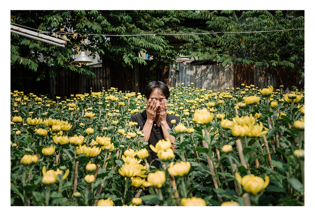 Charlie surfs on Lotus Flowers/ Please Do Not Use
