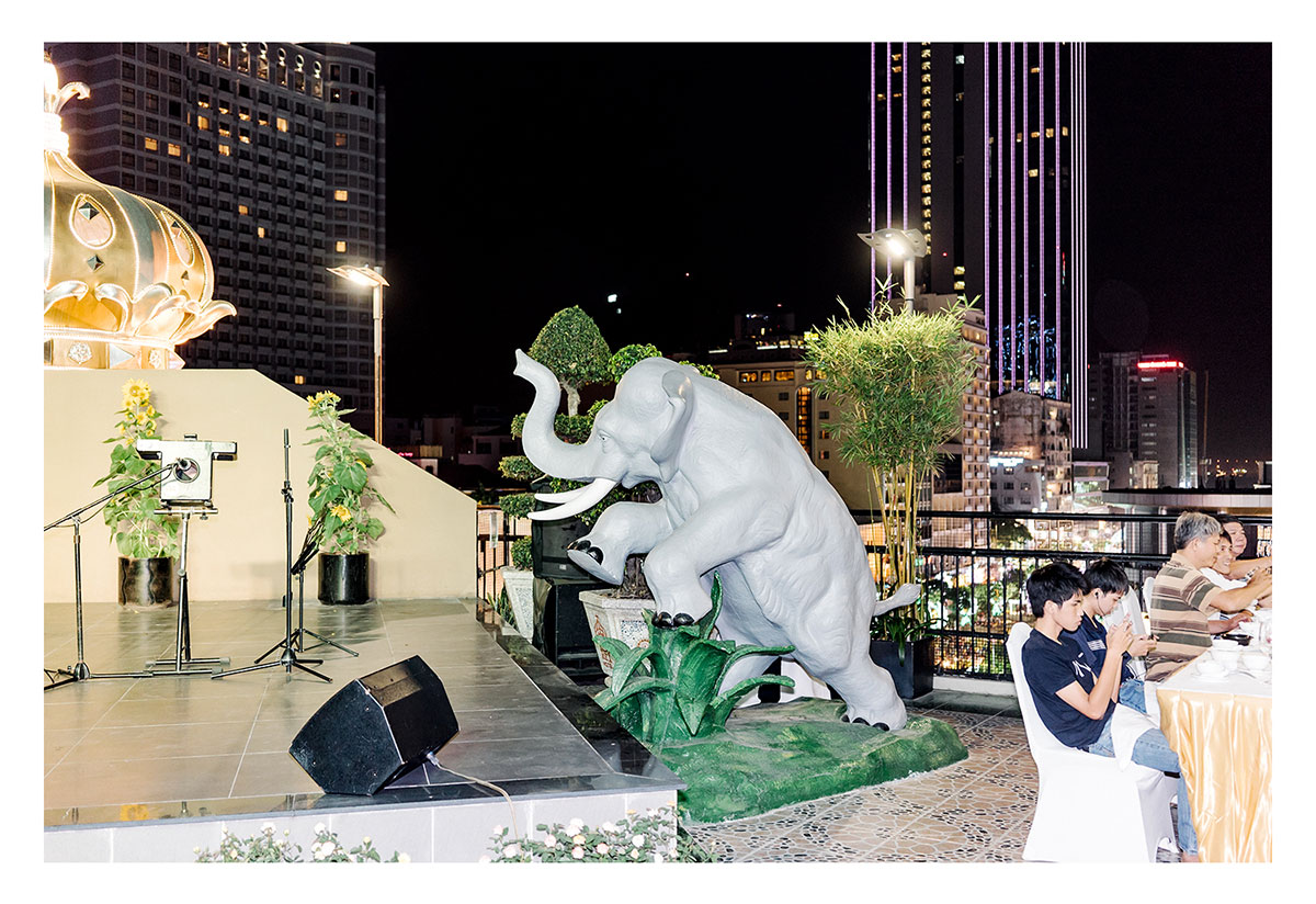 Charlie surfs on Lotus Flowers/ Please Do Not Use