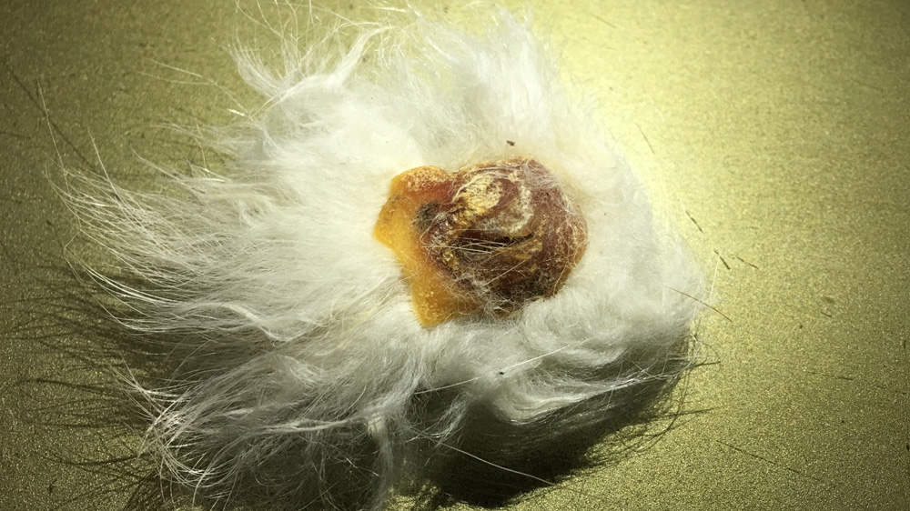 South Korea - shaman