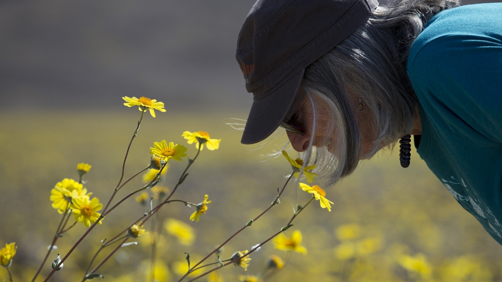 lady smelling flowers - TEchKnow