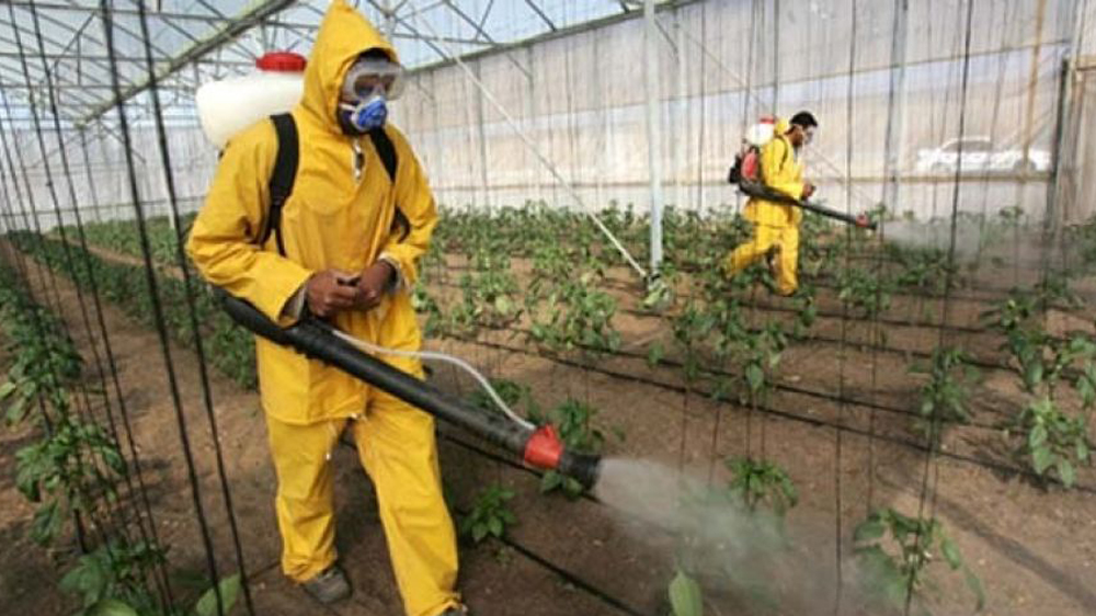 Pesticides spraying