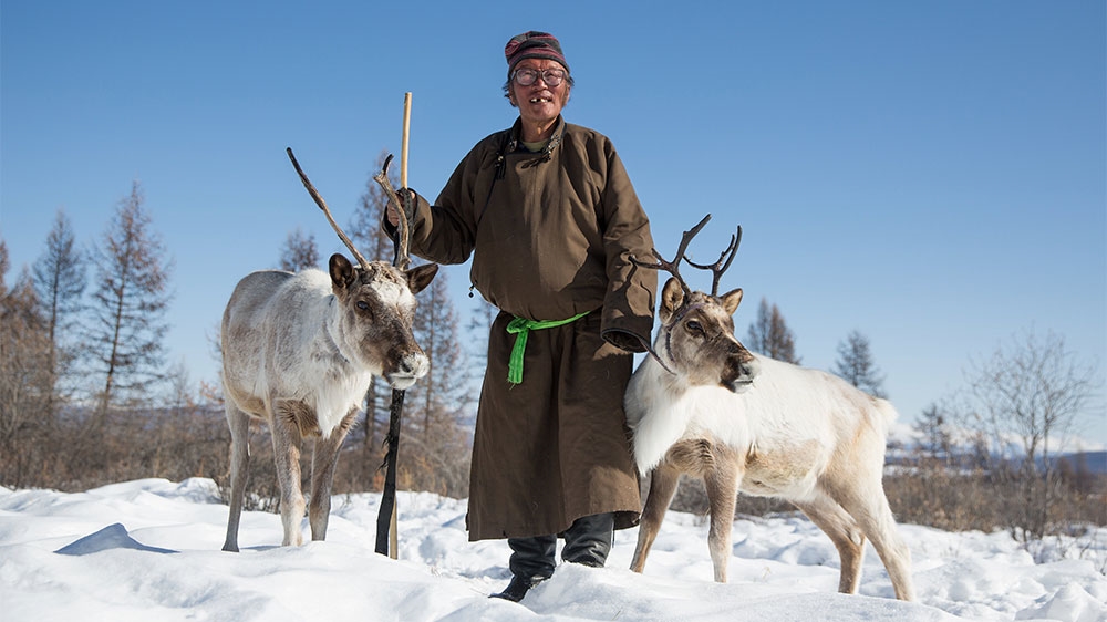 
Delger with two of his reindeer. [Taylor Weidman/Al Jazeera]
