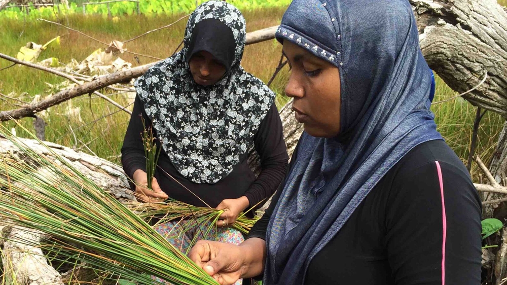 Leena collecting reeds from the nearby marshland