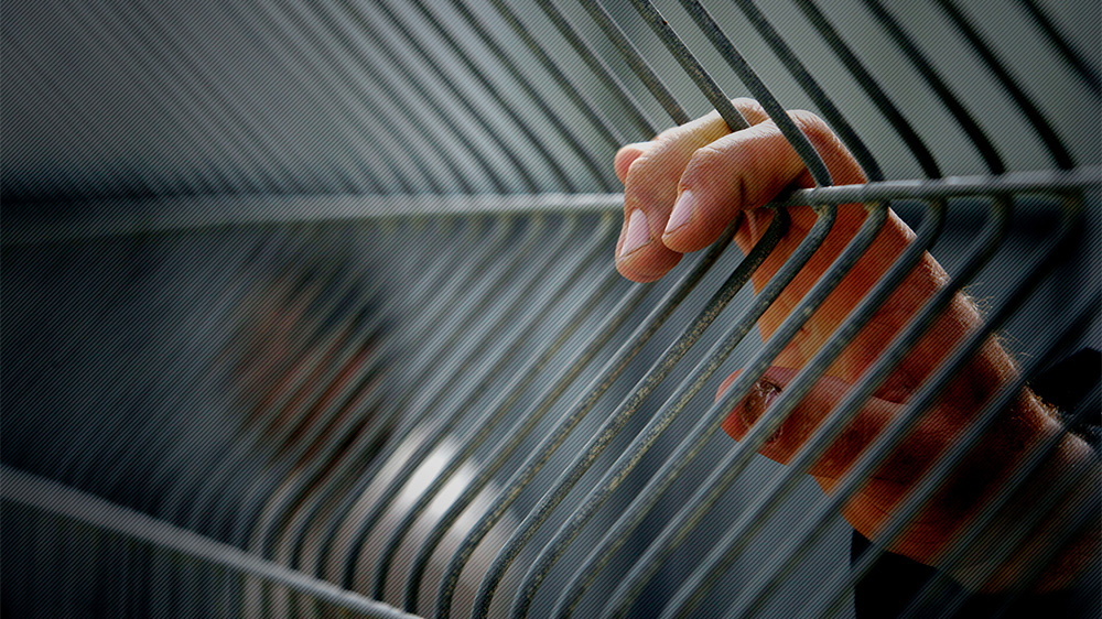 Prisoners day infographic outside image