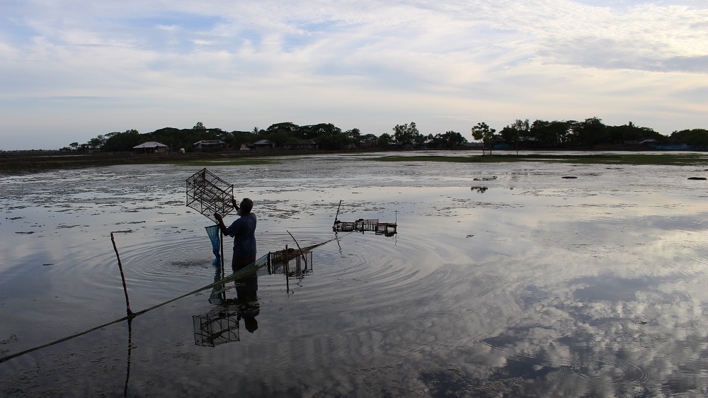 
A shrimp farmer collectis the day's catch at dusk. While the salt water makes it hard to cultivate rice, the traditional crop in the area, shrimps thrive in it [Neha Thirani Bagri/The GroundTruth Project]
