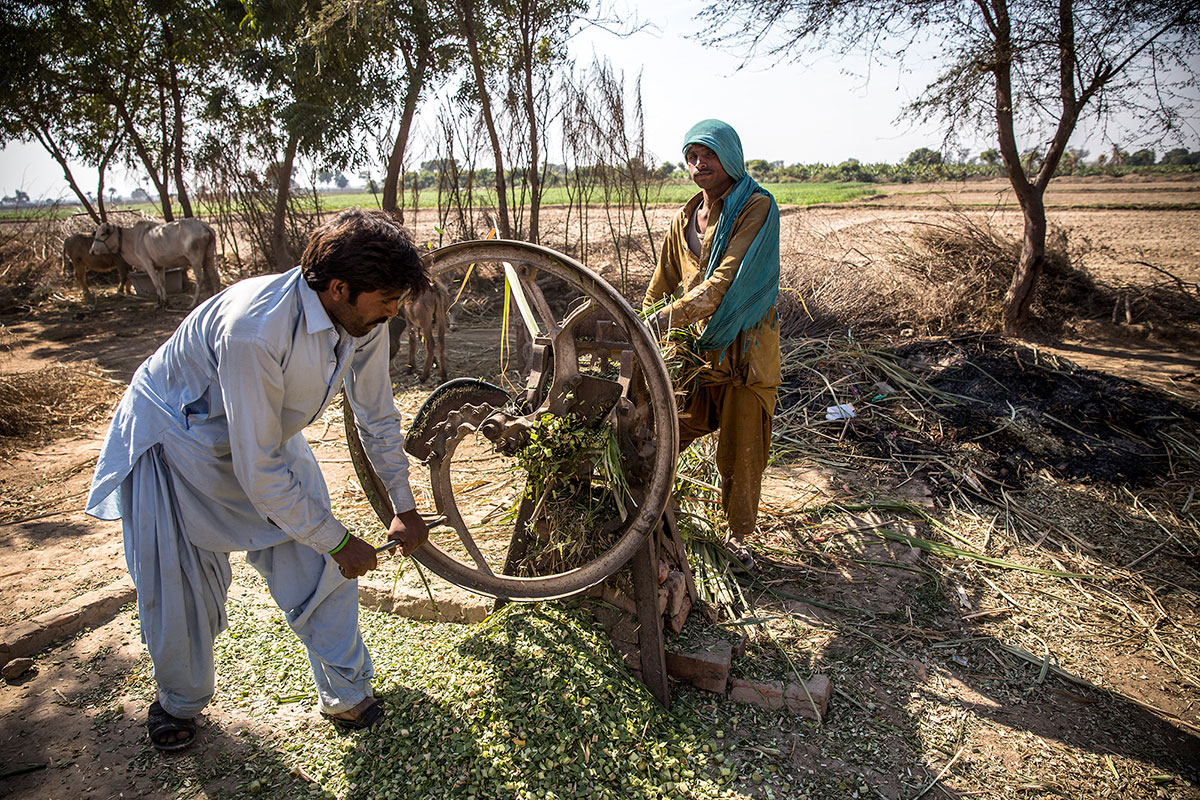 Azad Nagar, where freed bonded labour start over