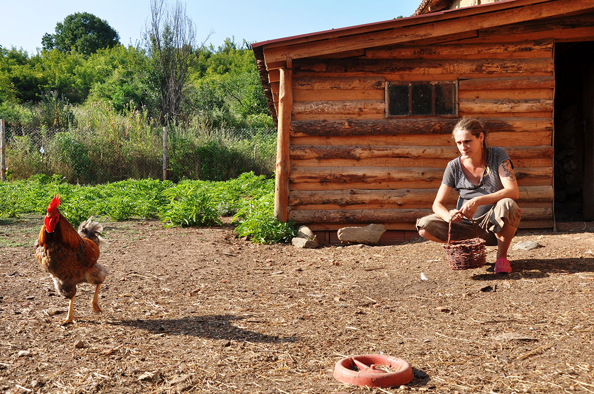 Rediscovering their roots/ Please Do Not Use