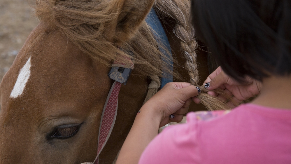 Bujinlkham braids one of her family’s horse’s manes the evening before the Naadam horse race [Hannah Griffin/Al Jazeera]