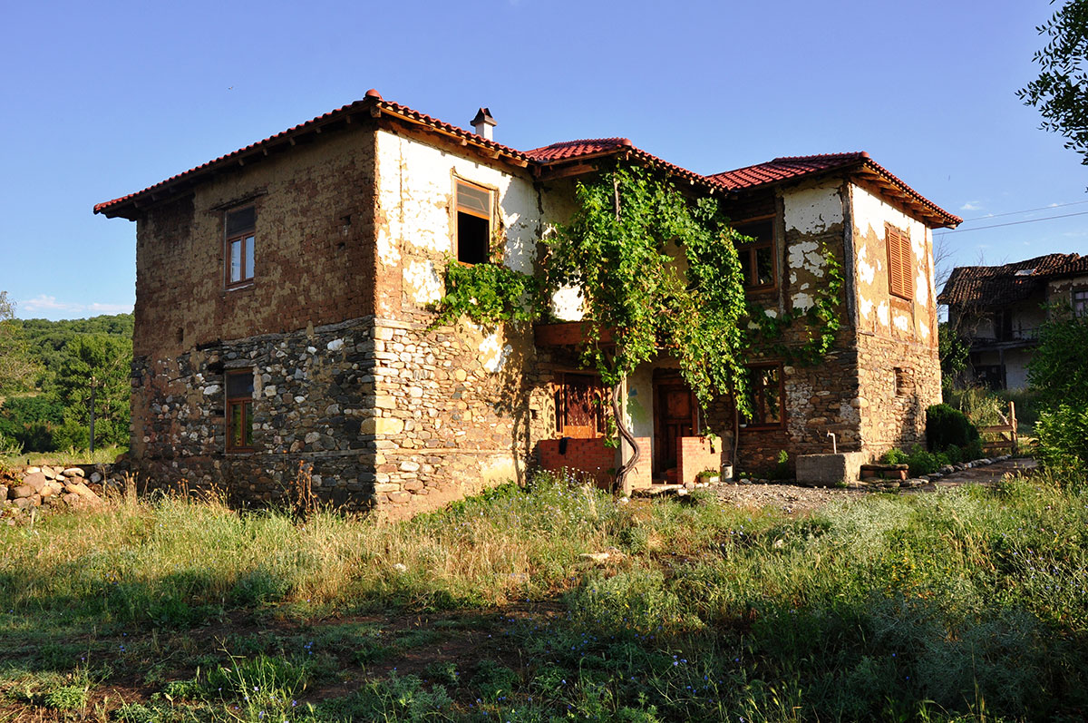 Rediscovering their roots/ Please Do Not Use