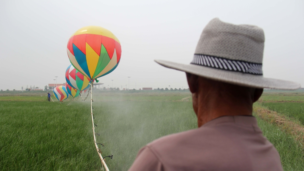 Home-made Helium Balloons