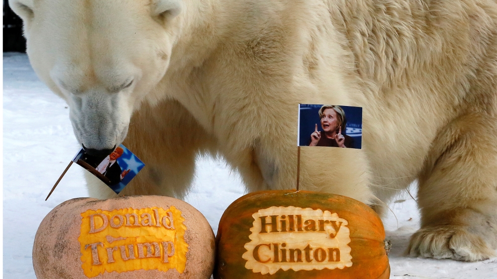 Bear Clinton Trump