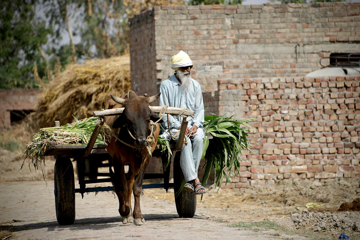 PARTITION PHOTO /PLEASE DO NOT USE