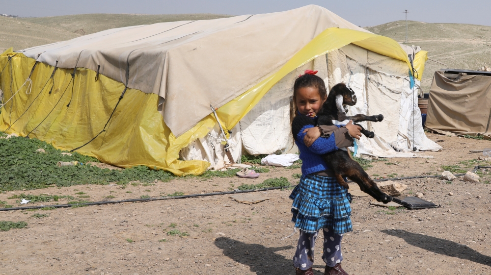 Bedouin Palestinian girl carries a goat outside her family''s dwelling in al-Khan al-Ahmar village near the West Bank city of Jericho