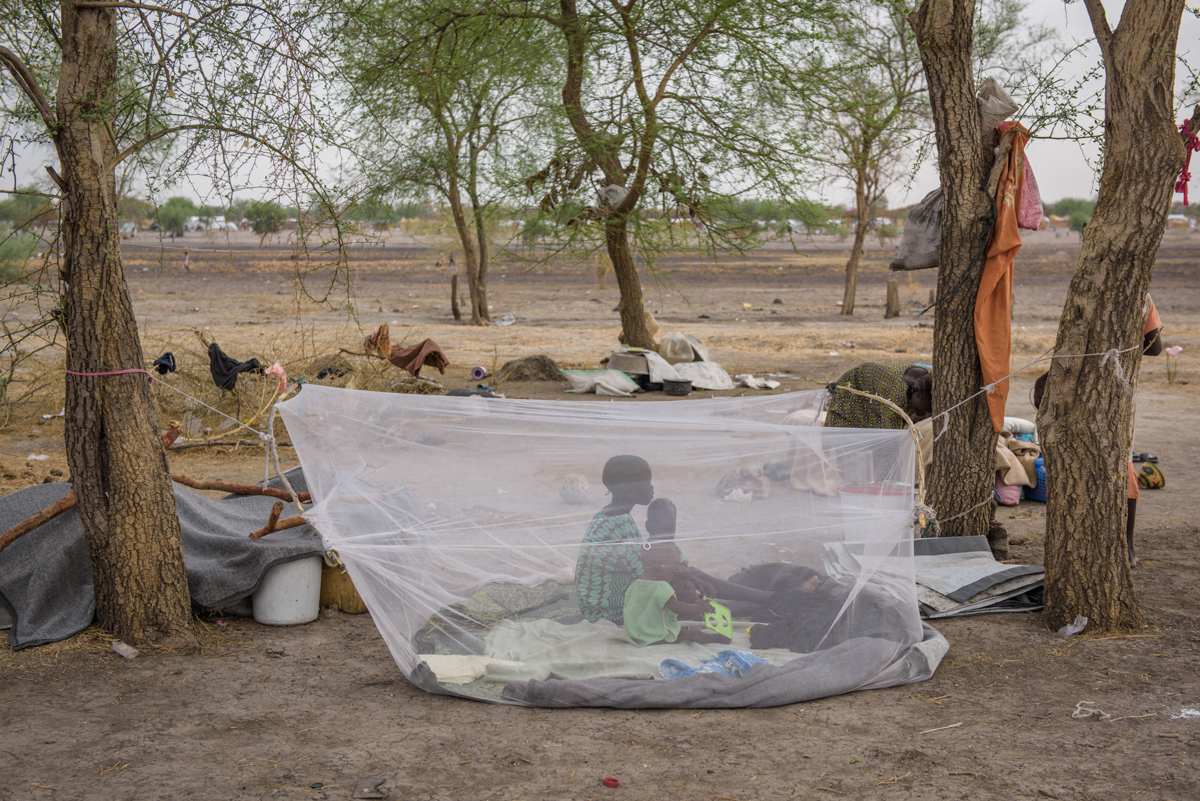 Temporary Accommodation/Please Do Not Use