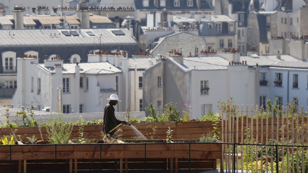 Urban garden reuters