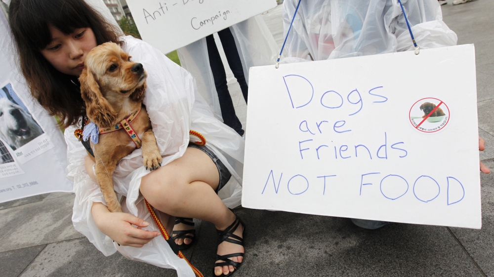 dogs are friends not meat