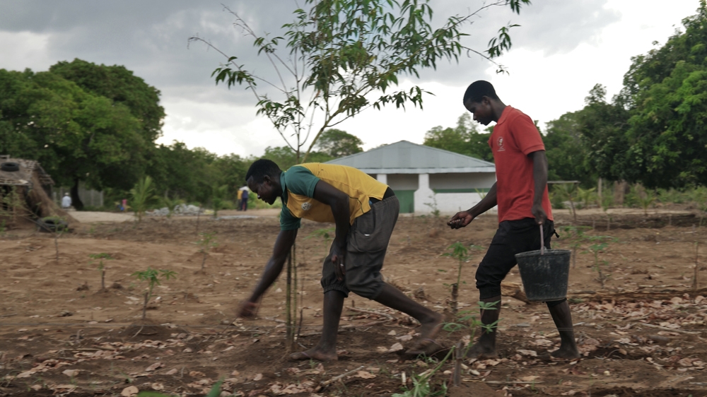 Mozambican farmers