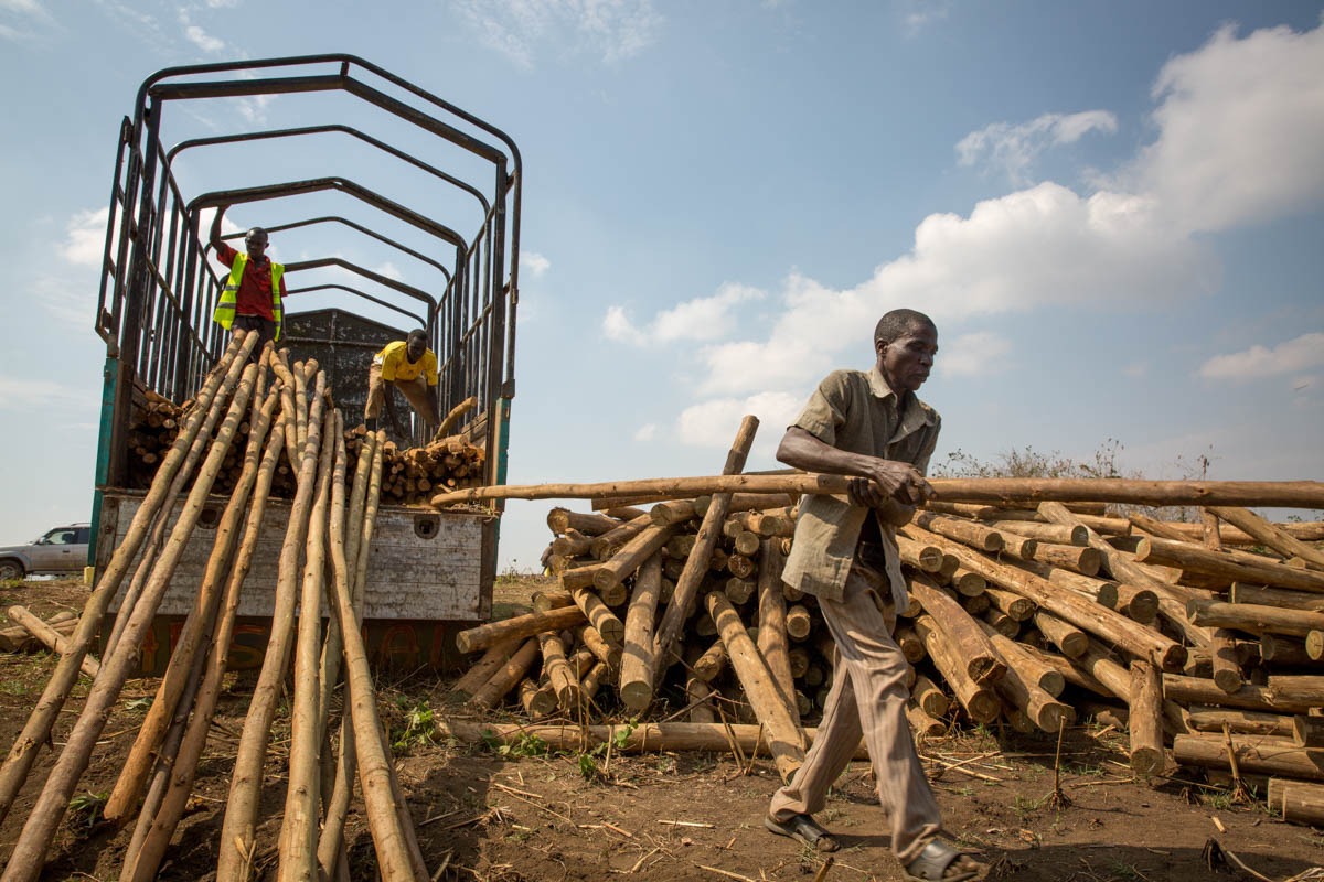 The tragedy of Uganda’s boat people