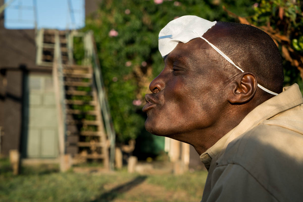 Chimpanzees Without Borders/Please Do Not Use
