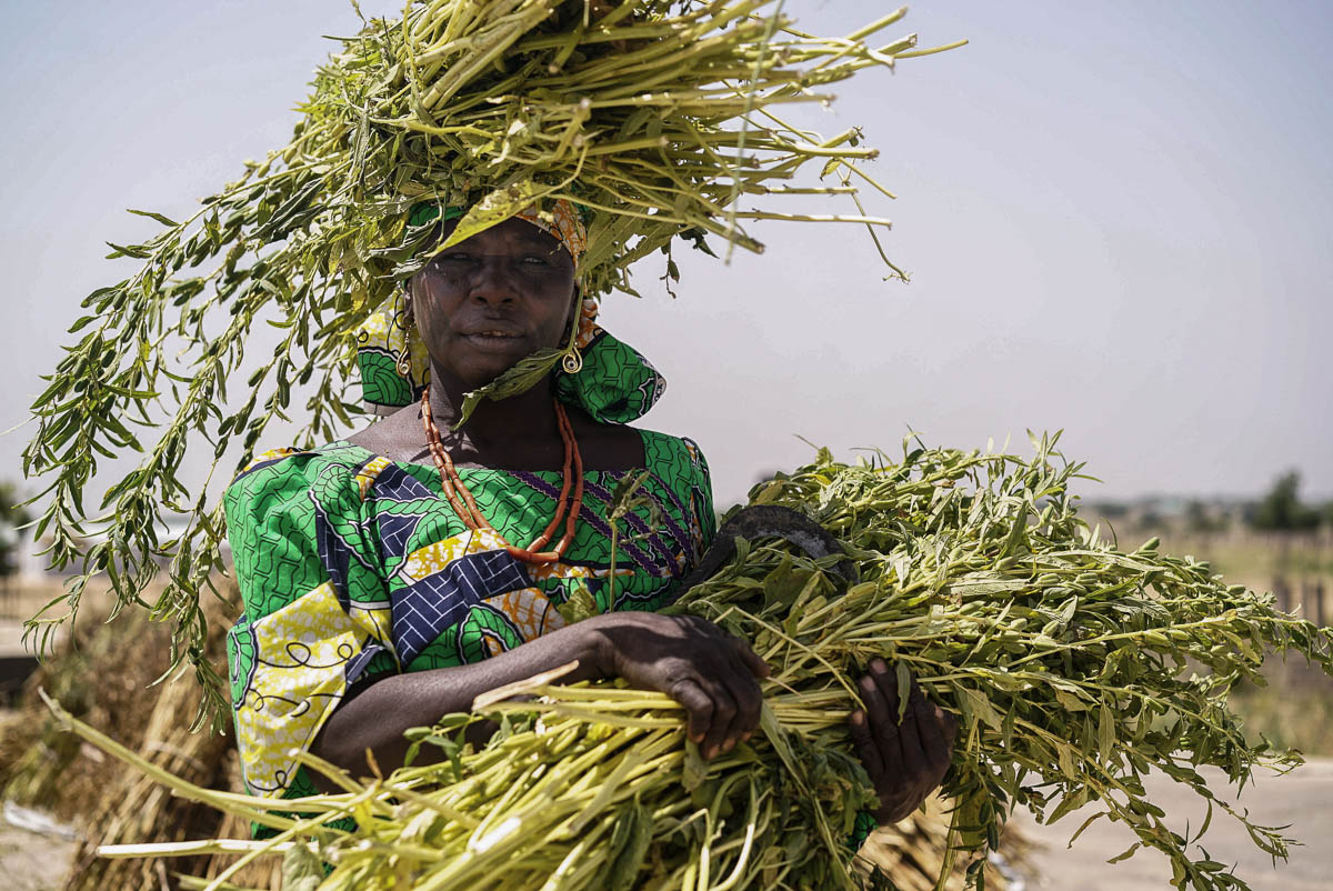 Habiba, age 55, is a displaced farmer from Gwoza, a local government area (LGA) of Borno State, Nigeria. After Boko Haram attacked her village, she fled to Maiduguri where she has been living in Bakas