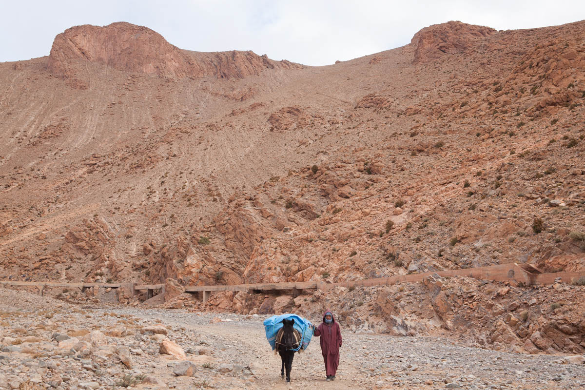 12_MOROCCO_SALT_MINING_SEBASTIAN_CASTELIER_PIC_28 - Following a morning spent harvesting salt, Said Amalik returns to Aït-Daoud. Amalik’s donkey can support up to 200 kilograms of salt on its back.