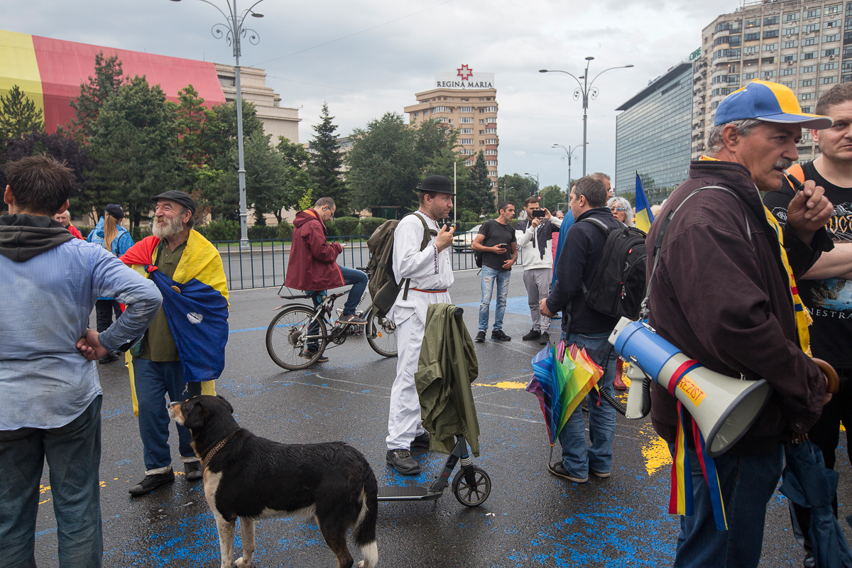 13. “People are tired of not having their voice heard by the Romanian politicians both from government and opposition side. I choose not to attend protests because I don''t see a viable solution from t