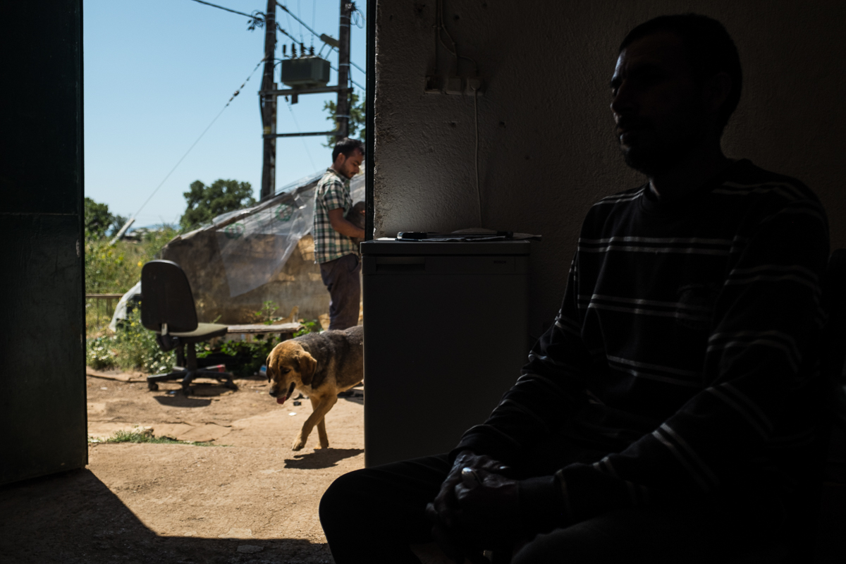 Between bureaucracy and violence, Pakistanis in Greece push back