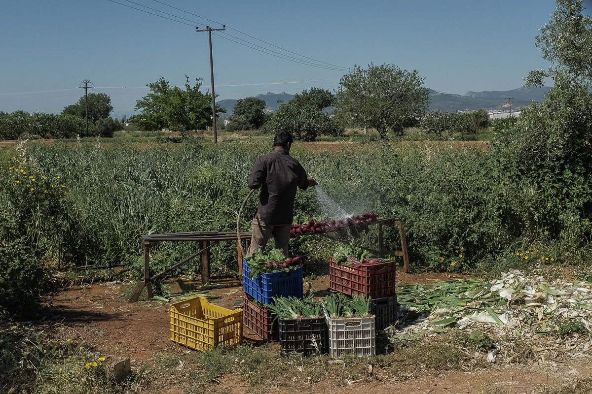Between bureaucracy and violence, Pakistanis in Greece push back