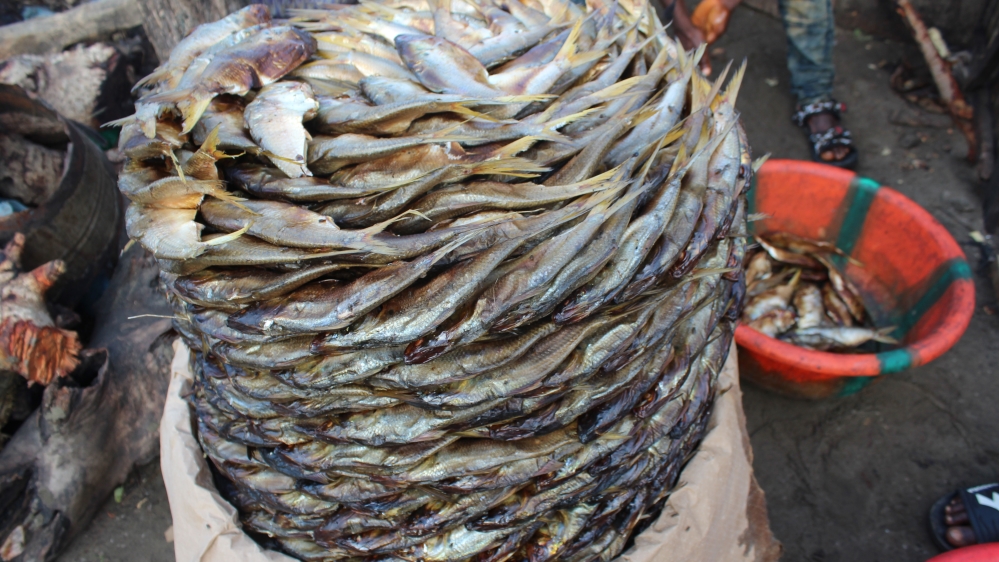 Dried fish for sale in Yelibuya. Fish from here is sold to communities across Sierra Leone and Guinea [Mara Kardas-Nelson/Al Jazeera]