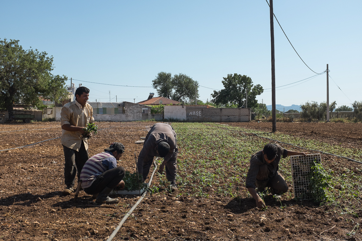 Between bureaucracy and violence, Pakistanis in Greece push back