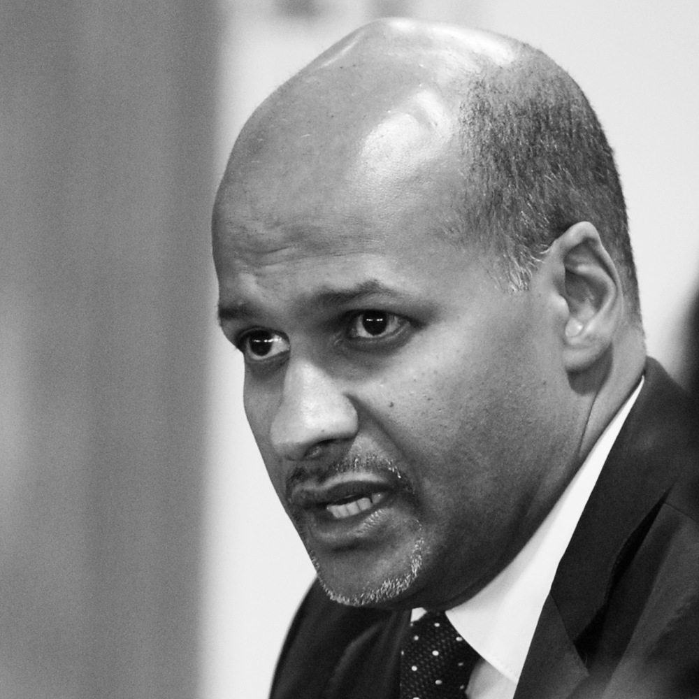 Mohammad-Mahmoud Ould Mohamedou