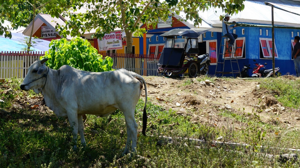 A village polling station in the mountains of Sulawesi. Ensuring everyone gets a chance to vote is one of the biggest logistical challenges of Indonesia's democracy. [Ian Morse/Al Jazeera]